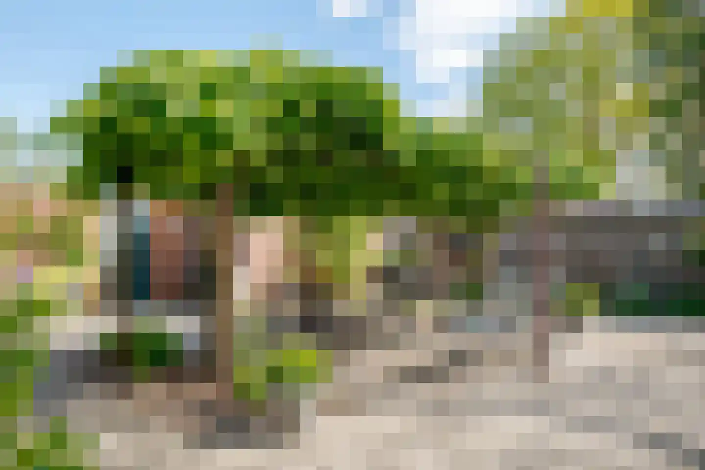 Hoofdstraat 35 Zwiggelte thumbnail 66