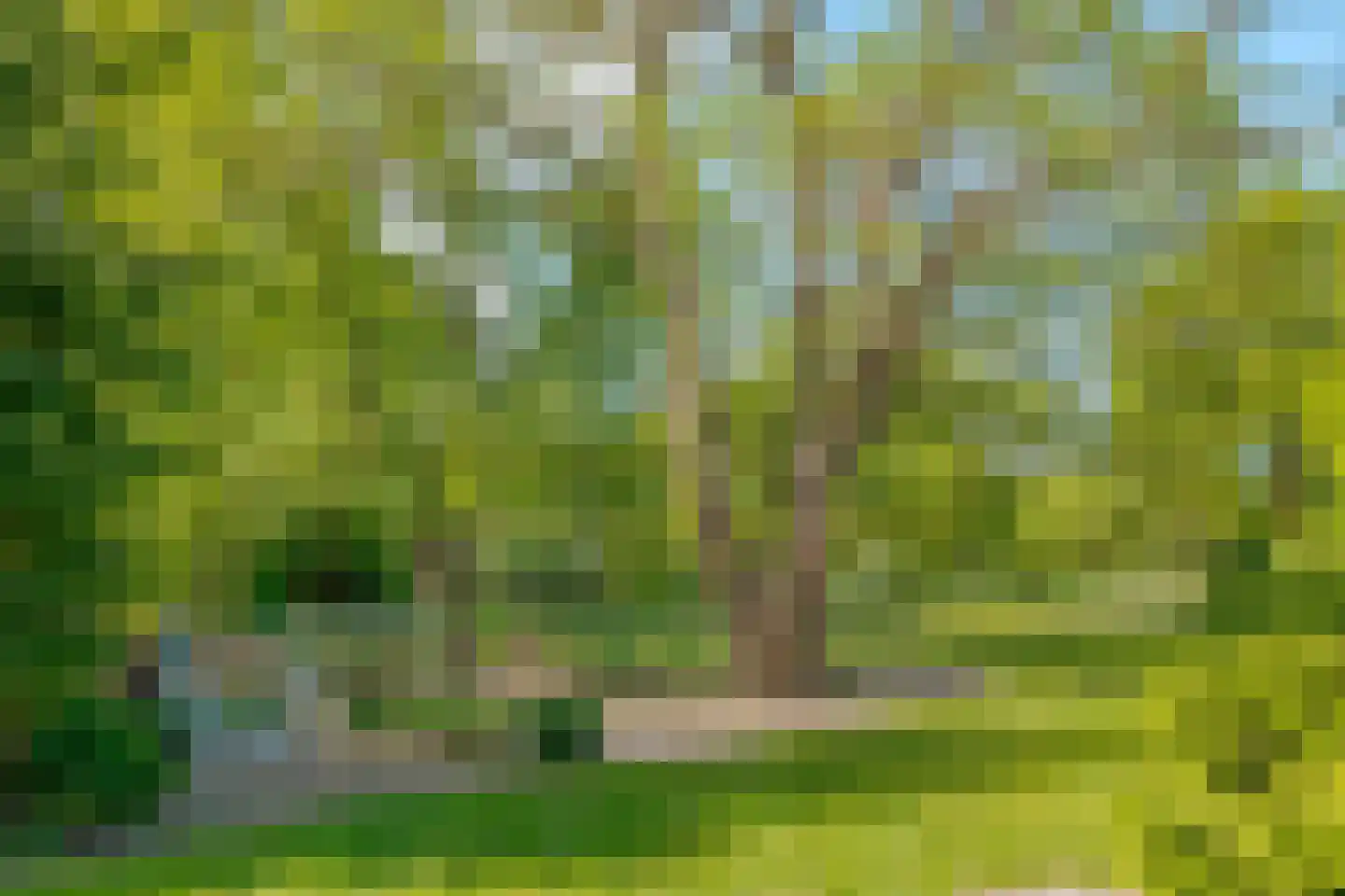 Hoofdstraat 35 Zwiggelte thumbnail 71