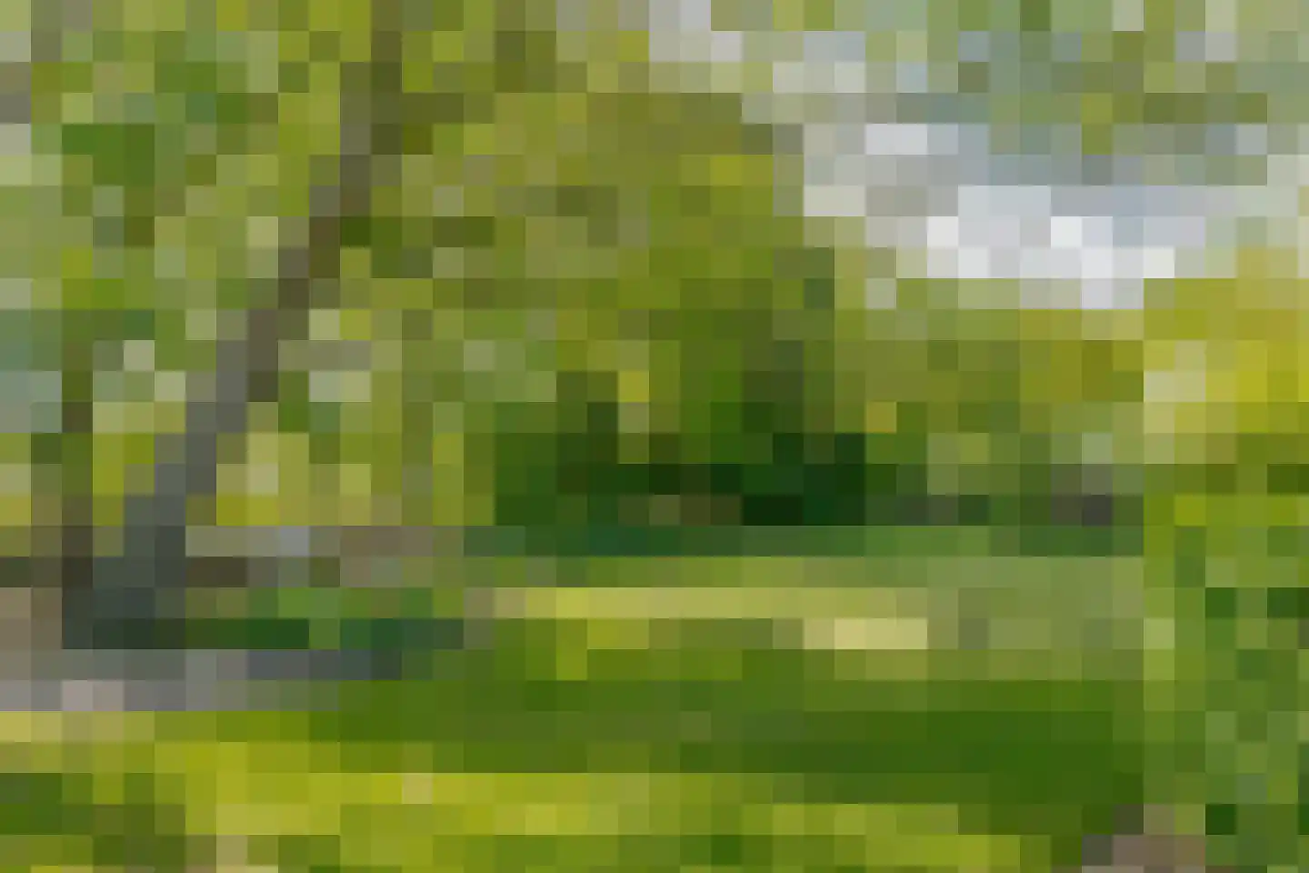 Hoofdstraat 35 Zwiggelte thumbnail 72