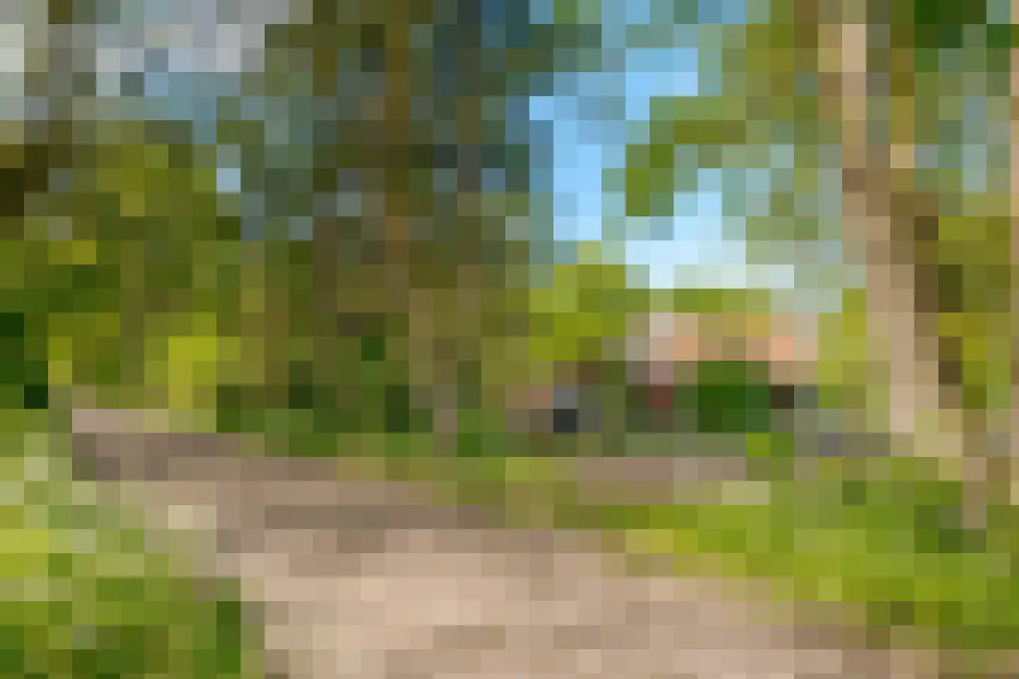 Hoofdstraat 35 Zwiggelte thumbnail 77