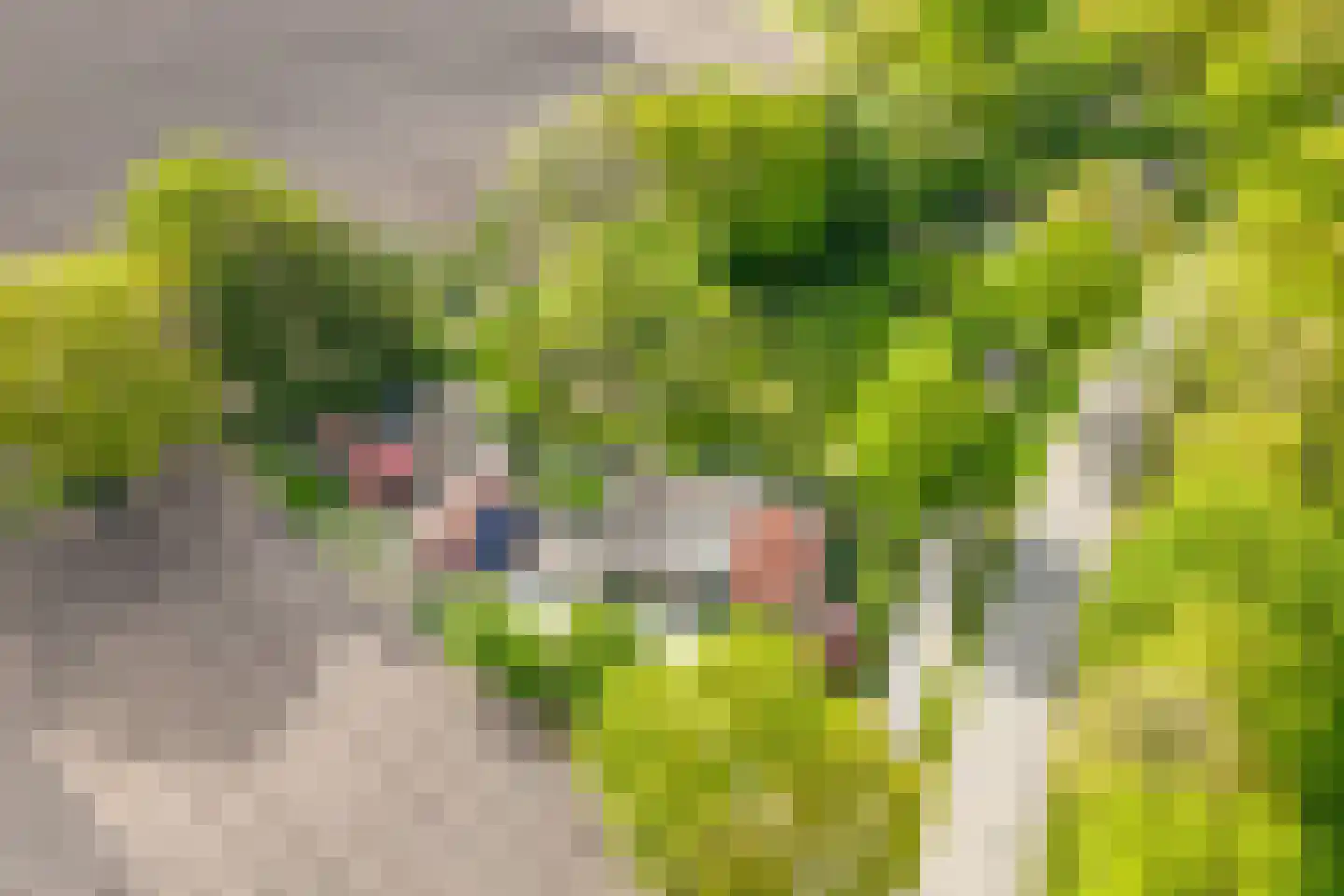 Hoofdstraat 35 Zwiggelte thumbnail 79