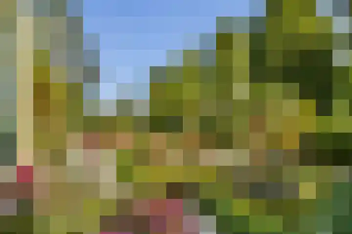 Hoofdstraat 357 Sassenheim thumbnail 21