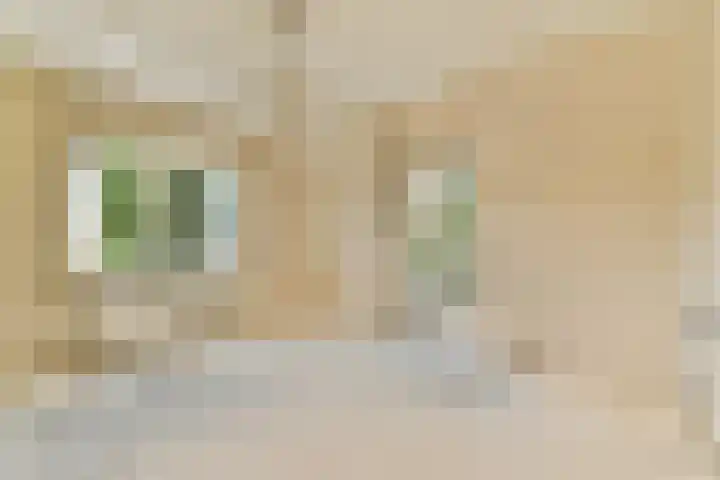 Hoofdstraat 357 Sassenheim thumbnail 24
