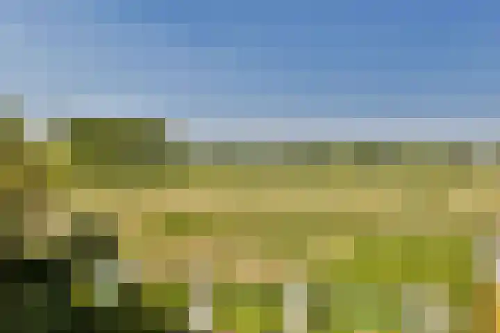Hoofdstraat 357 Sassenheim thumbnail 36
