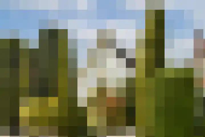 Hoofdstraat 357 Sassenheim thumbnail 41
