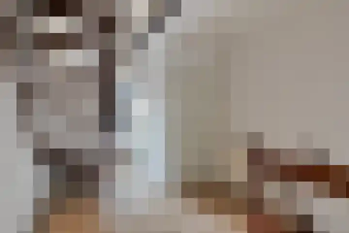 Hoofdstraat 36 b Gorssel thumbnail 19