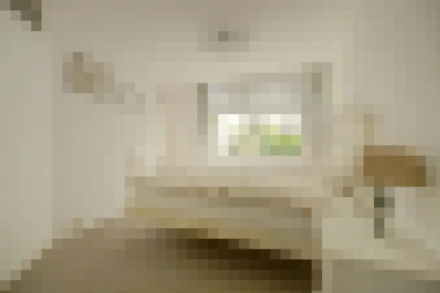 Hoofdstraat 36 B Wolphaartsdijk thumbnail 8