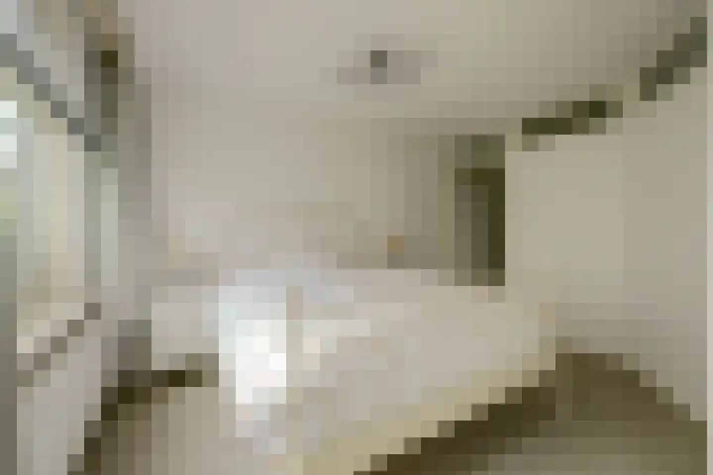 Hoofdstraat 36 B Wolphaartsdijk thumbnail 9