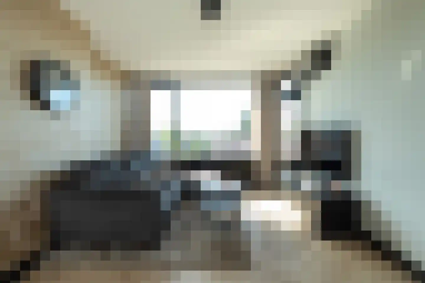 Hoofdstraat 36 Baarn thumbnail 8