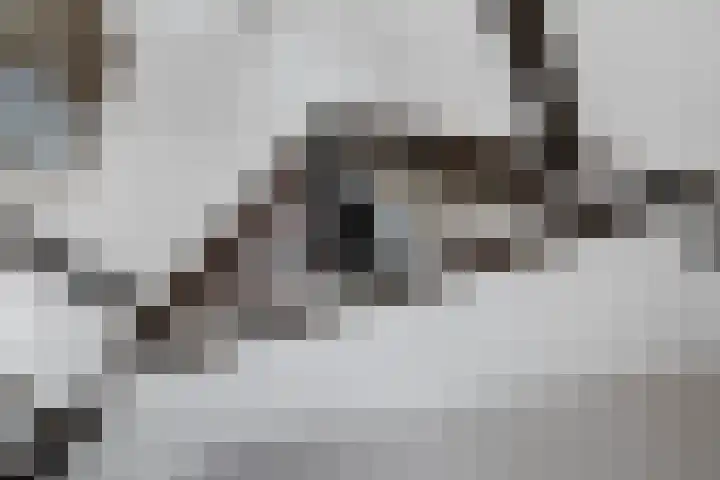 Hoofdstraat 36 G Hillegom thumbnail 22