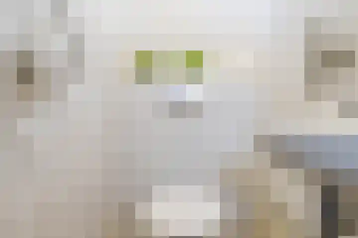 Hoofdstraat 36 Kloosterburen thumbnail 18
