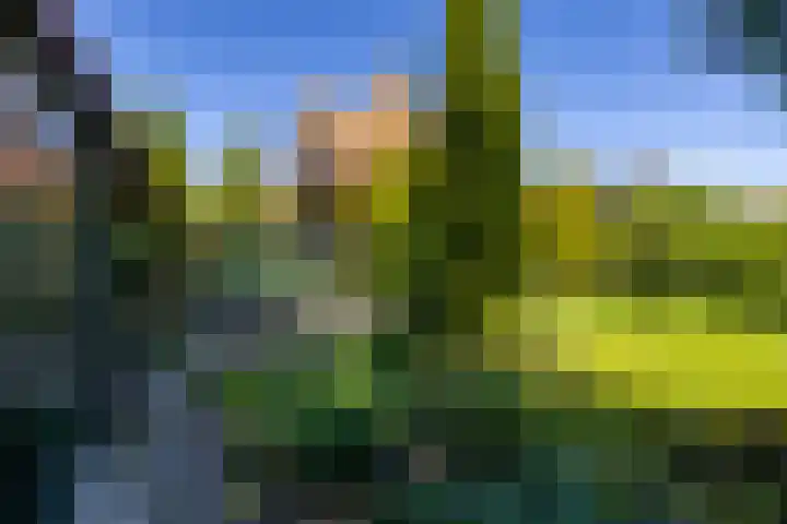 Hoofdstraat 36 Kloosterburen thumbnail 7