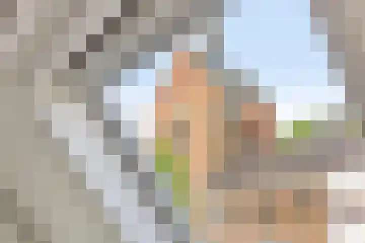 Hoofdstraat 36 't Zandt thumbnail 23
