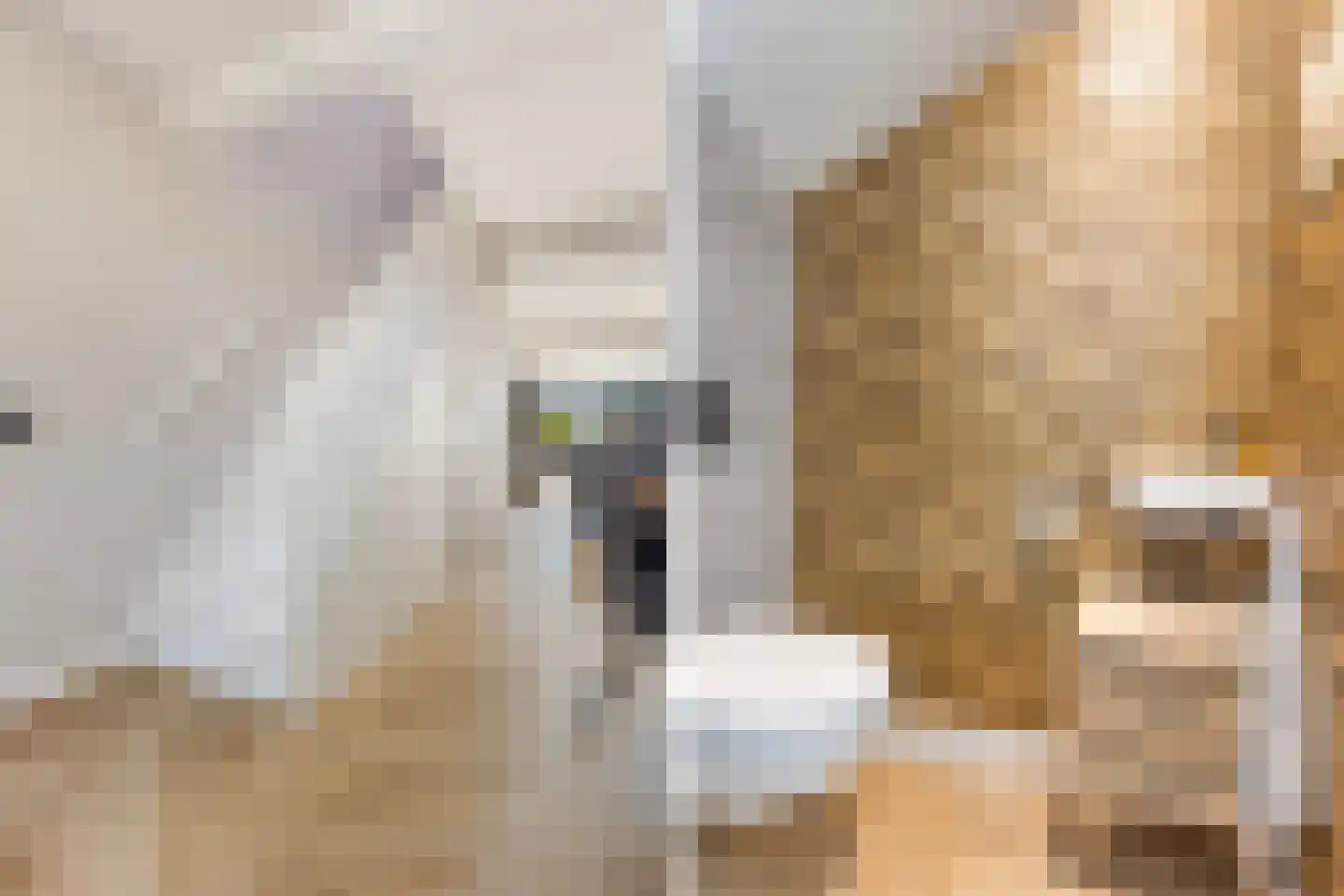 Hoofdstraat 36 Voorthuizen thumbnail 14