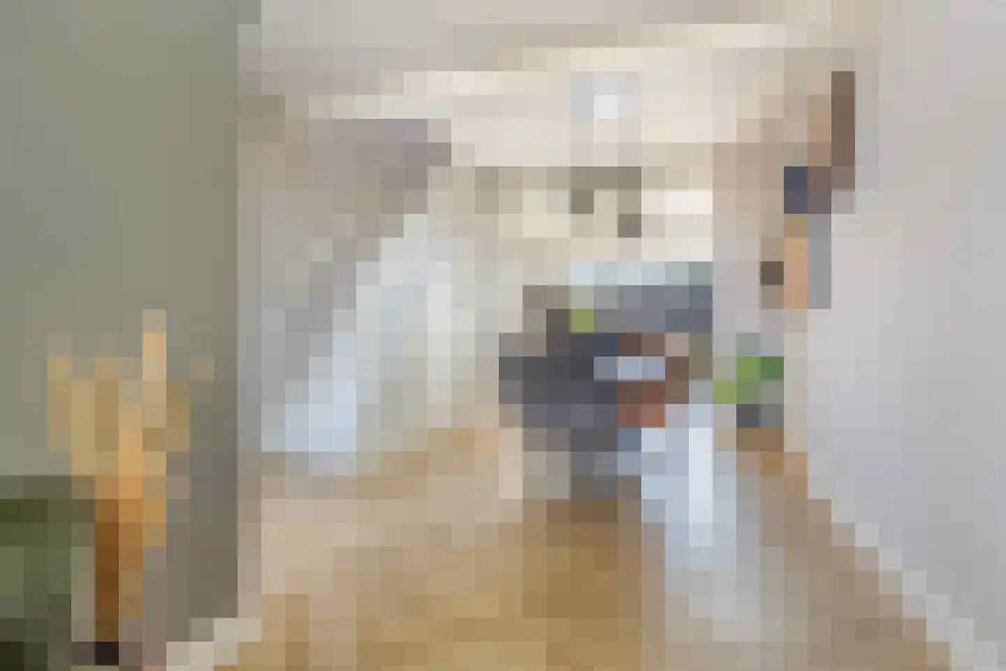 Hoofdstraat 36 Voorthuizen thumbnail 15