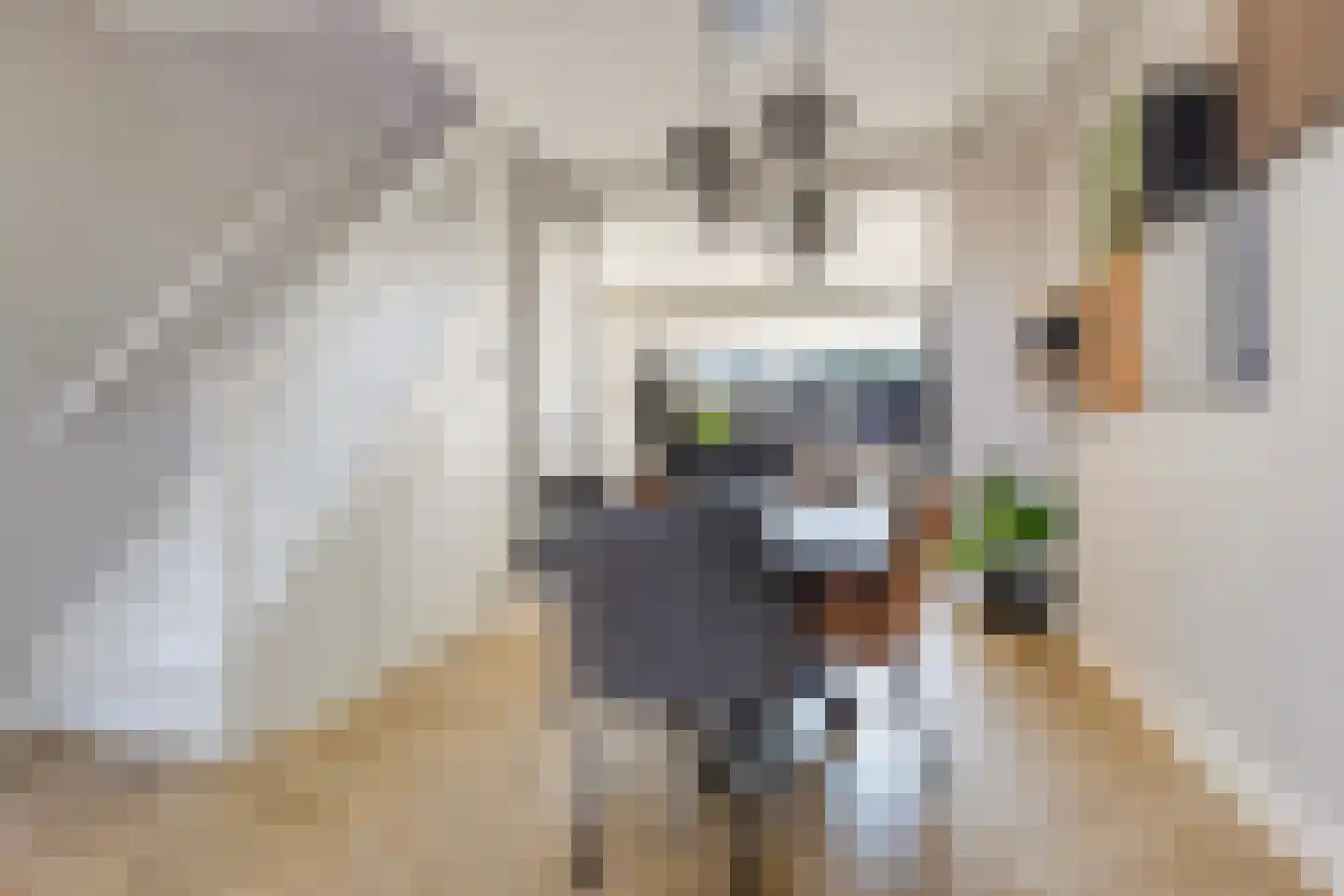 Hoofdstraat 36 Voorthuizen thumbnail 16