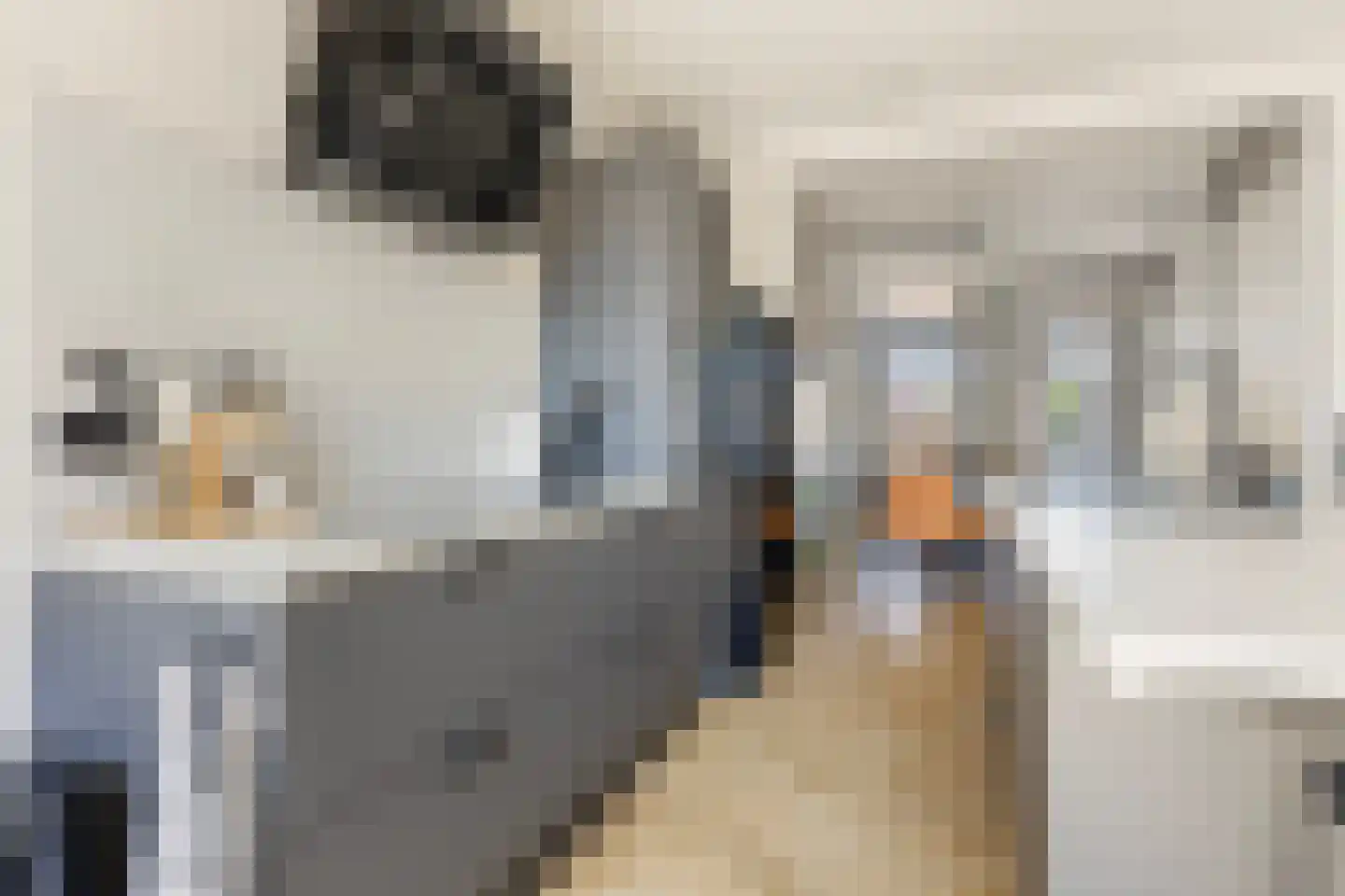 Hoofdstraat 36 Voorthuizen thumbnail 20