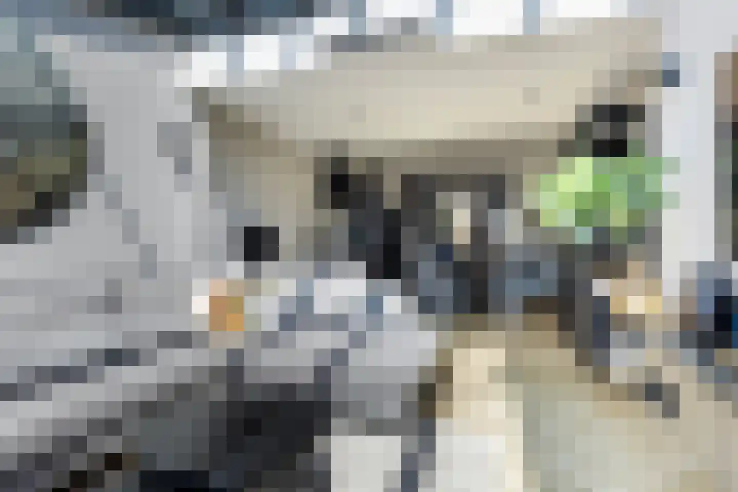 Hoofdstraat 36 Voorthuizen thumbnail 27