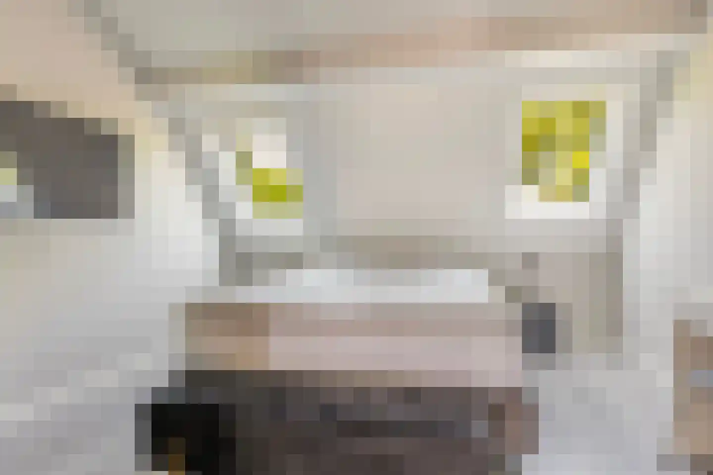 Hoofdstraat 36 Voorthuizen thumbnail 31