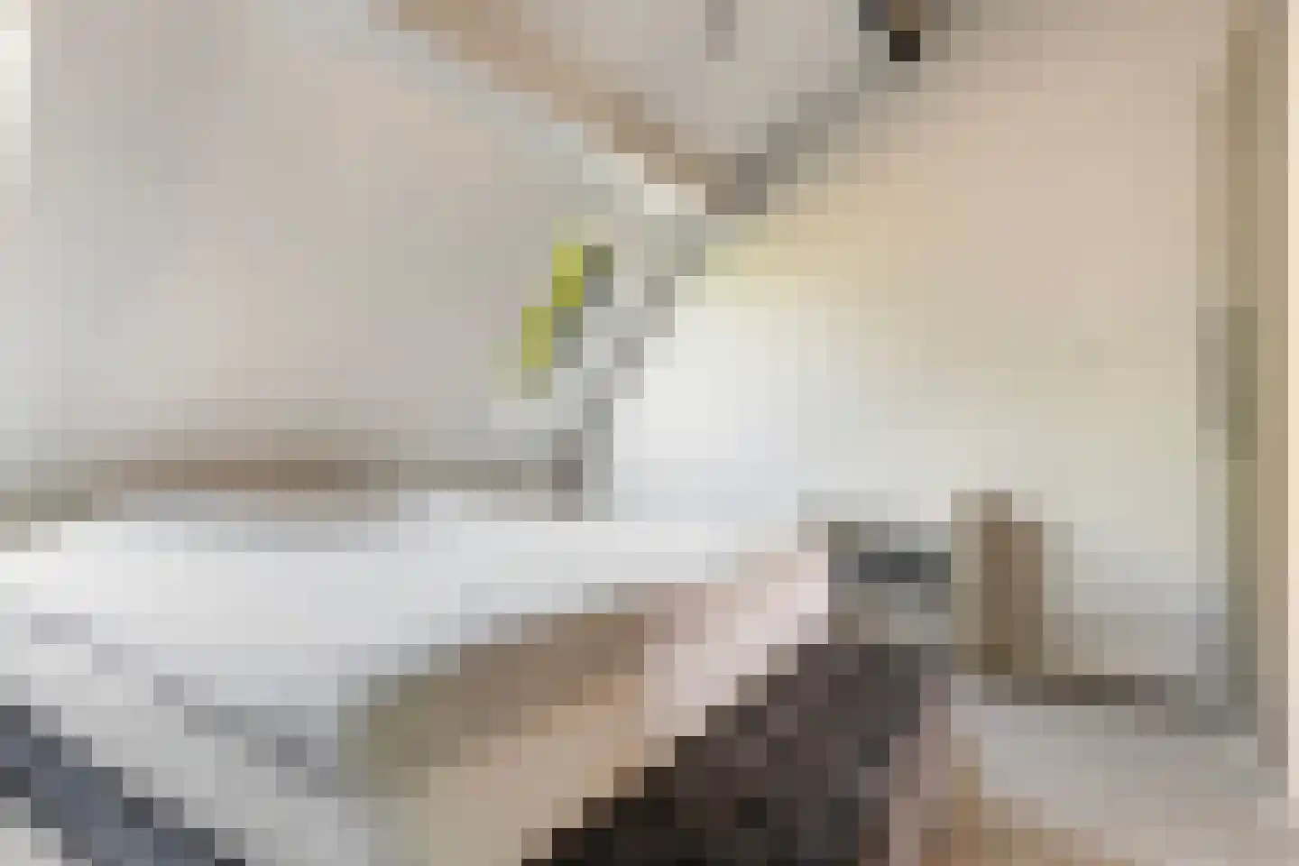 Hoofdstraat 36 Voorthuizen thumbnail 32