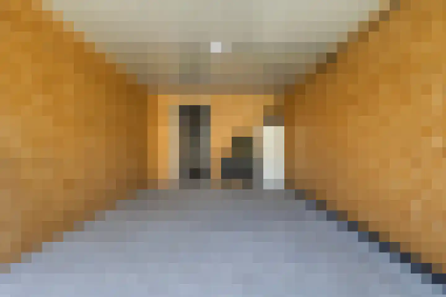 Hoofdstraat 36 Voorthuizen thumbnail 44