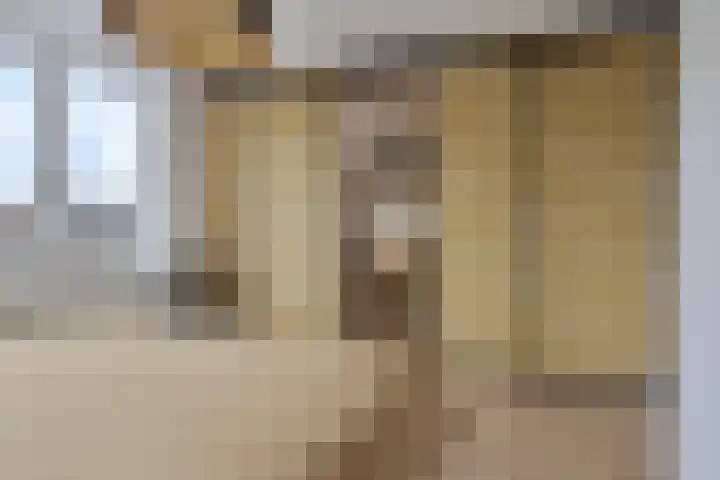 Hoofdstraat 37 Andelst thumbnail 25