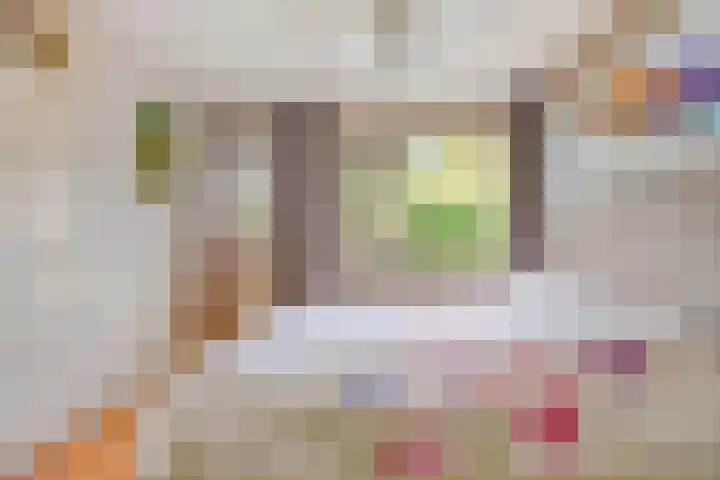Hoofdstraat 37 Andelst thumbnail 27