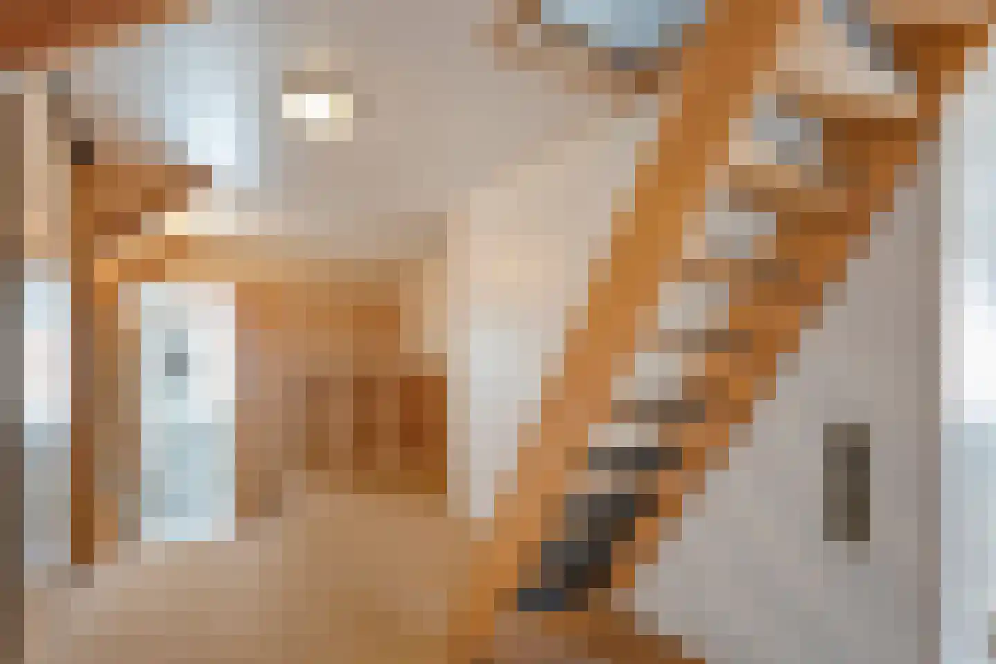Hoofdstraat 37 Diever thumbnail 24