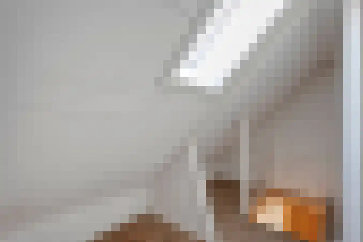 Hoofdstraat 37 Diever thumbnail 26