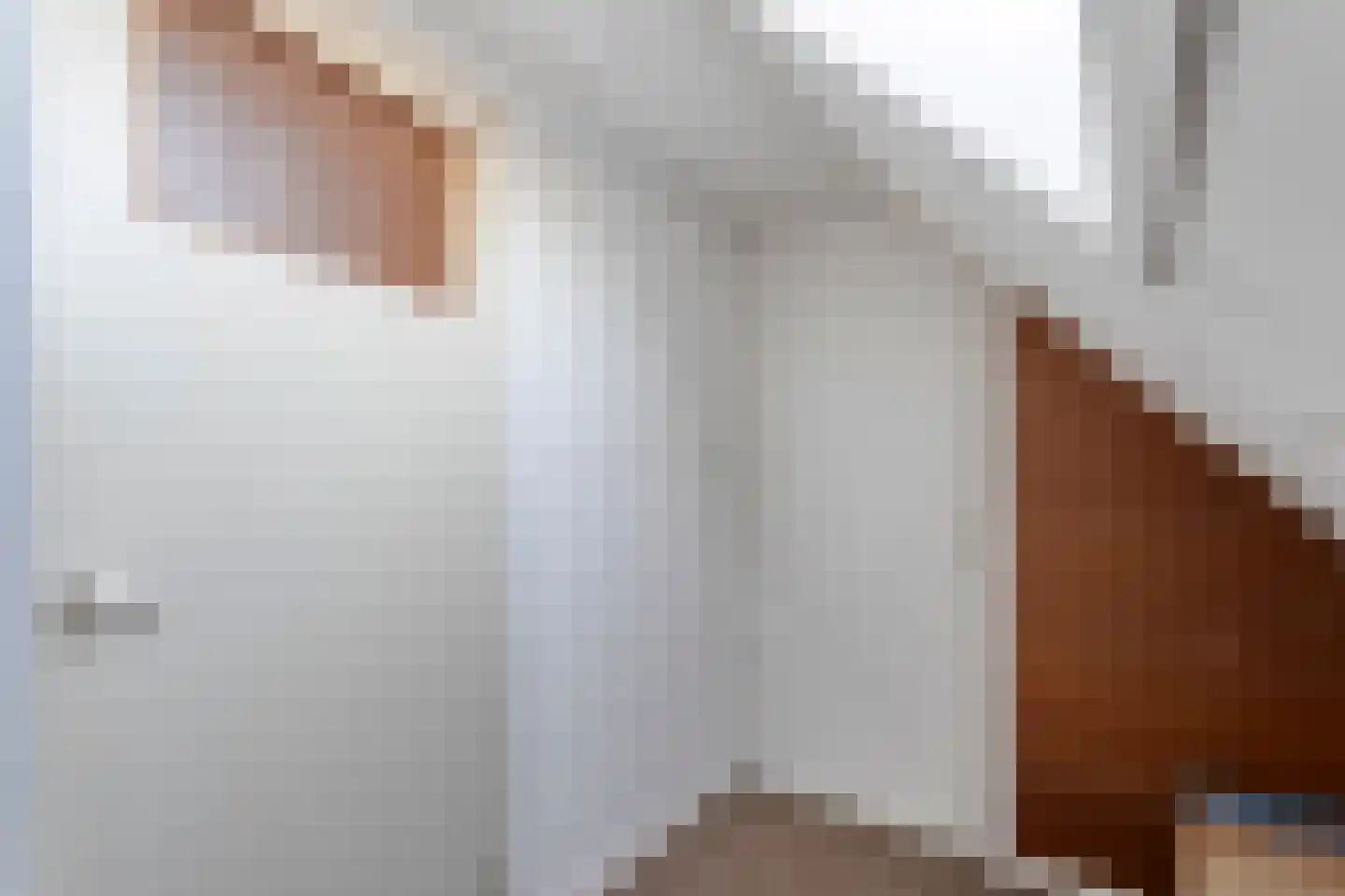 Hoofdstraat 37 Diever thumbnail 27