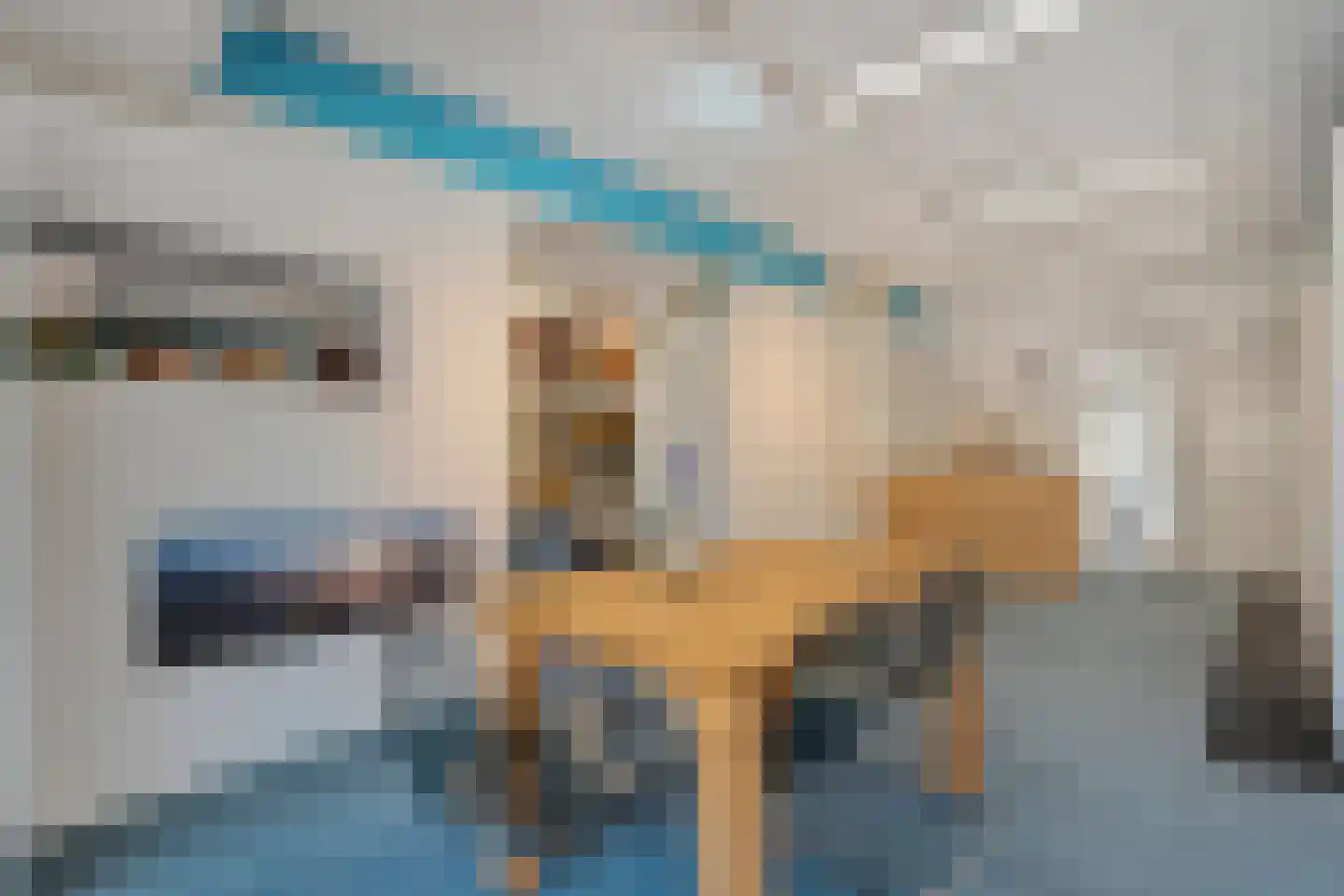 Hoofdstraat 37 Diever thumbnail 35