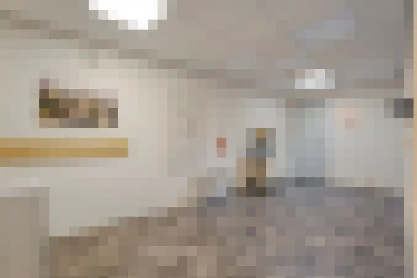 Hoofdstraat 37 Diever thumbnail 38