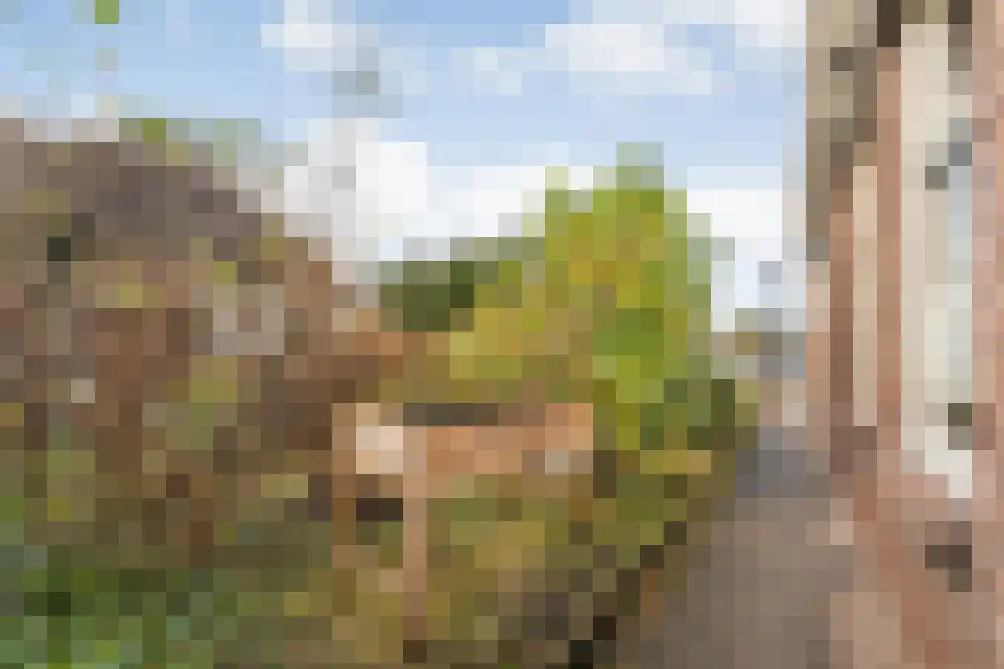 Hoofdstraat 37 Diever thumbnail 41