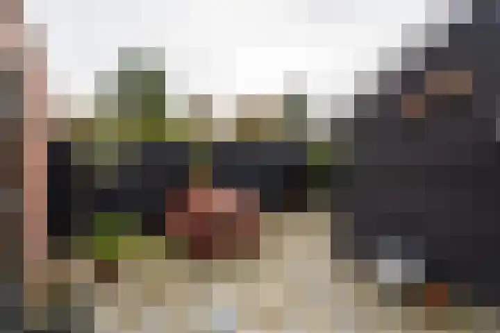 Hoofdstraat 37 Gasselternijveen thumbnail 26
