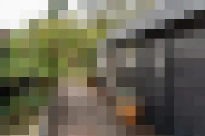 Hoofdstraat 37 Gasselternijveen thumbnail 28