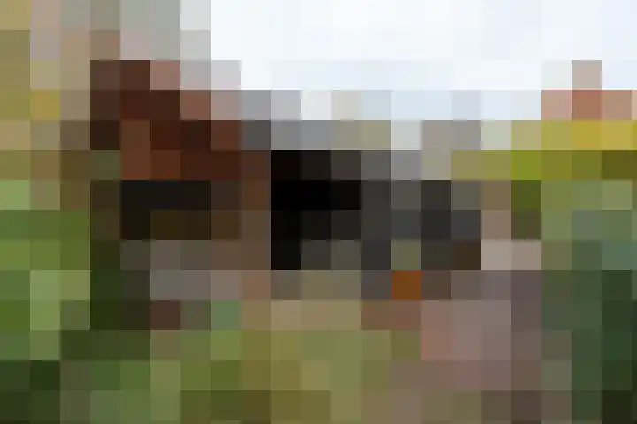 Hoofdstraat 37 Gasselternijveen thumbnail 30