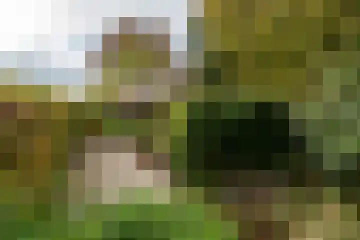 Hoofdstraat 37 Gasselternijveen thumbnail 31