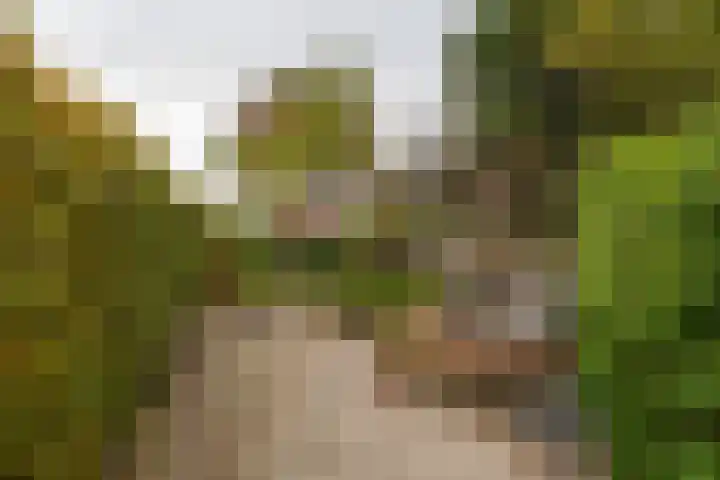 Hoofdstraat 37 Gasselternijveen thumbnail 32