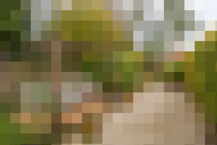 Hoofdstraat 37 Gasselternijveen thumbnail 33