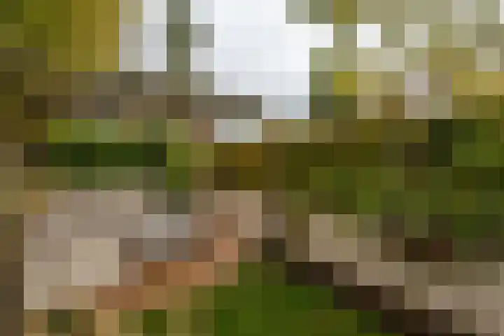 Hoofdstraat 37 Gasselternijveen thumbnail 34