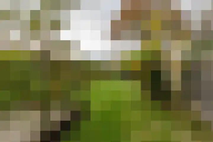 Hoofdstraat 37 Gasselternijveen thumbnail 35