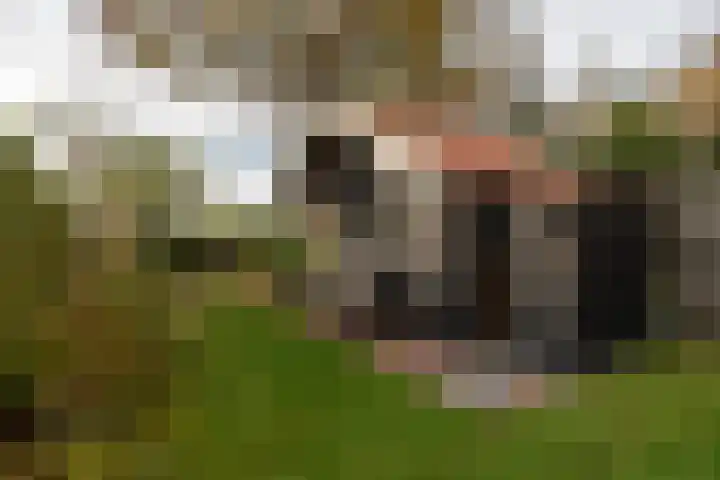 Hoofdstraat 37 Gasselternijveen thumbnail 37