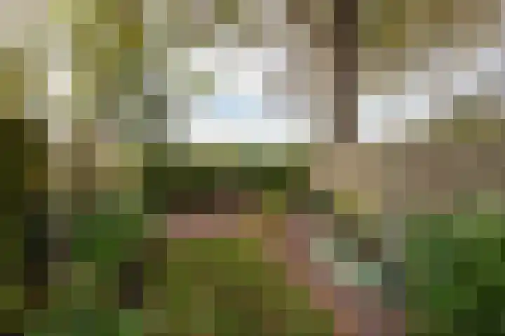 Hoofdstraat 37 Gasselternijveen thumbnail 38