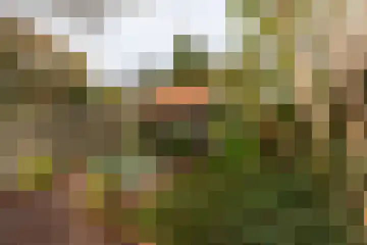 Hoofdstraat 37 Gasselternijveen thumbnail 39