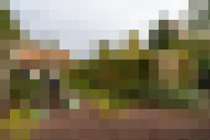Hoofdstraat 37 Gasselternijveen thumbnail 40
