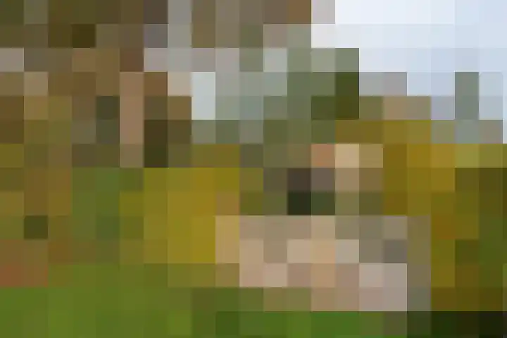 Hoofdstraat 37 Gasselternijveen thumbnail 41