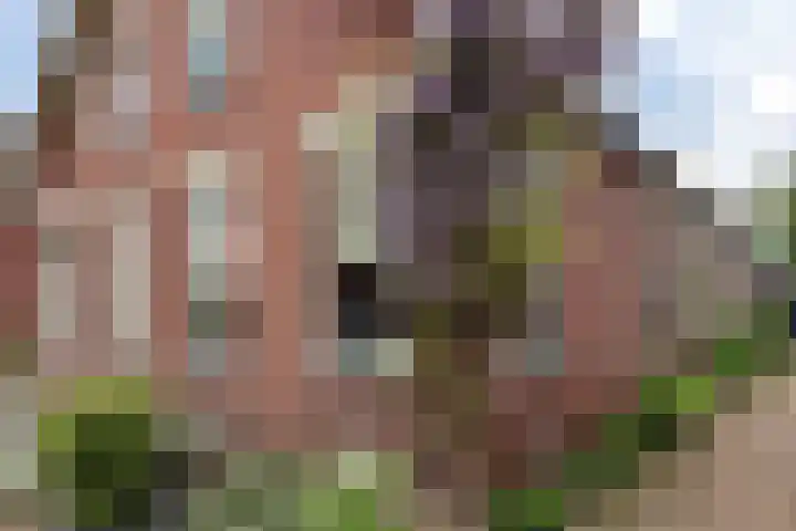 Hoofdstraat 37 Gasselternijveen thumbnail 44