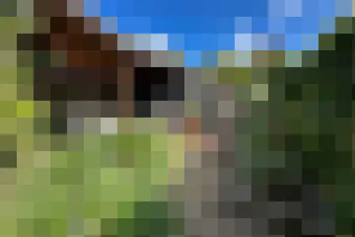 Hoofdstraat 37 Gasselternijveen thumbnail 45