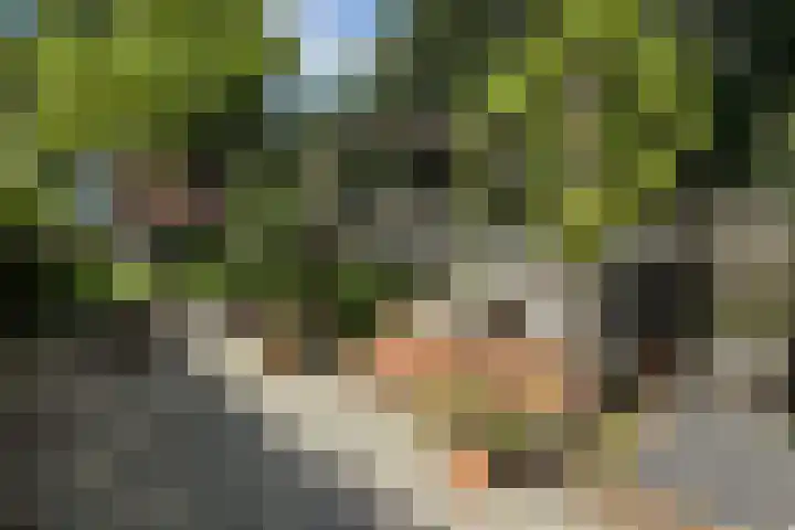 Hoofdstraat 37 Gasselternijveen thumbnail 46