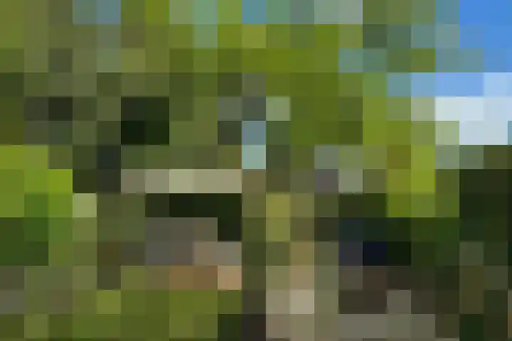 Hoofdstraat 37 Gasselternijveen thumbnail 47